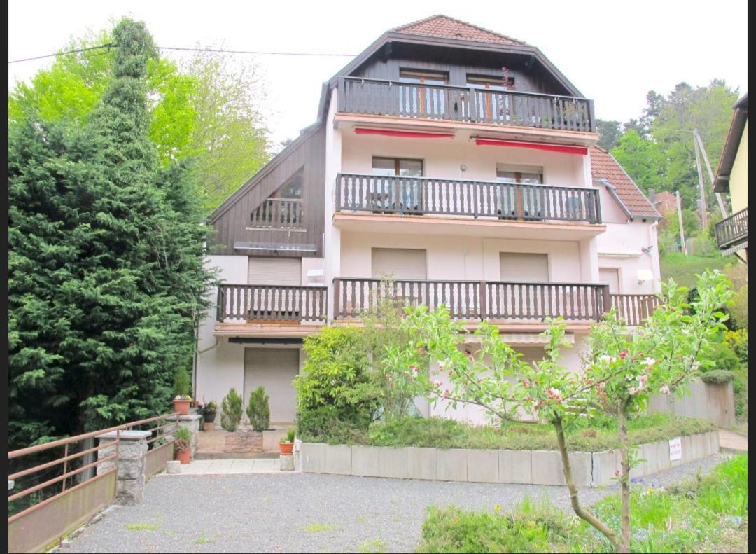 Studio Le Manet Le Hohwald Exterior foto